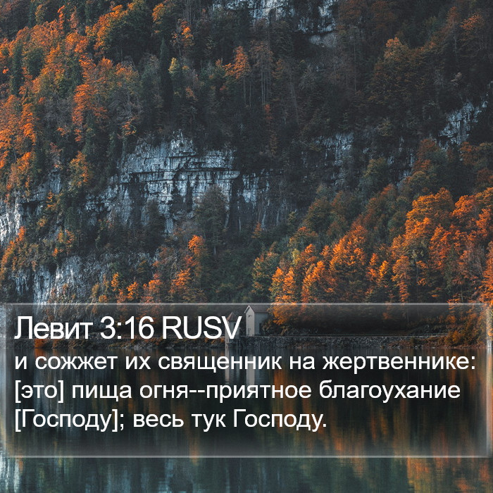 Левит 3:16 RUSV Bible Study