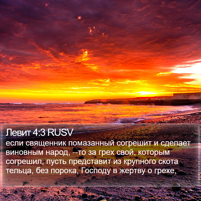 Левит 4:3 RUSV Bible Study