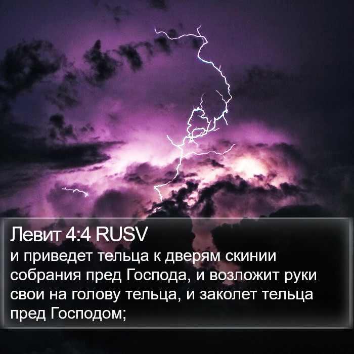 Левит 4:4 RUSV Bible Study