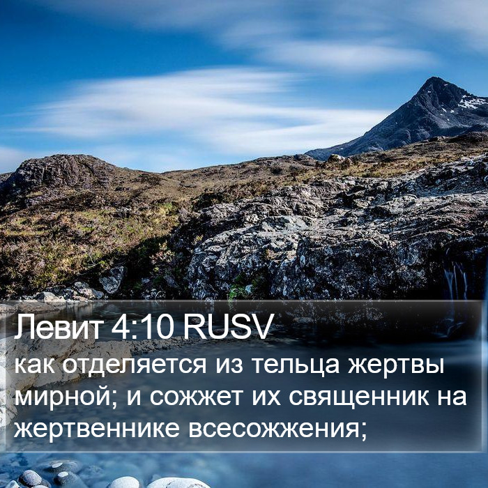 Левит 4:10 RUSV Bible Study