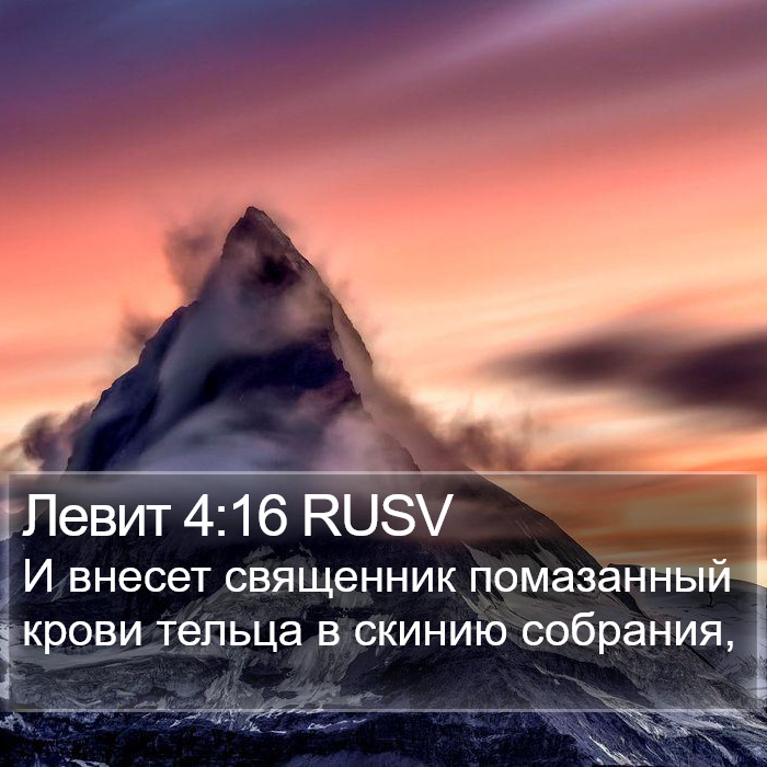 Левит 4:16 RUSV Bible Study