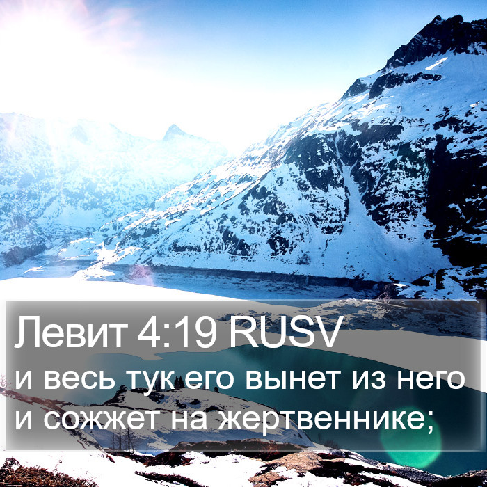 Левит 4:19 RUSV Bible Study