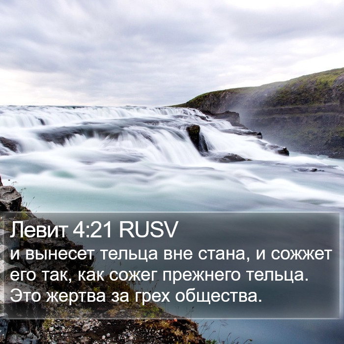 Левит 4:21 RUSV Bible Study