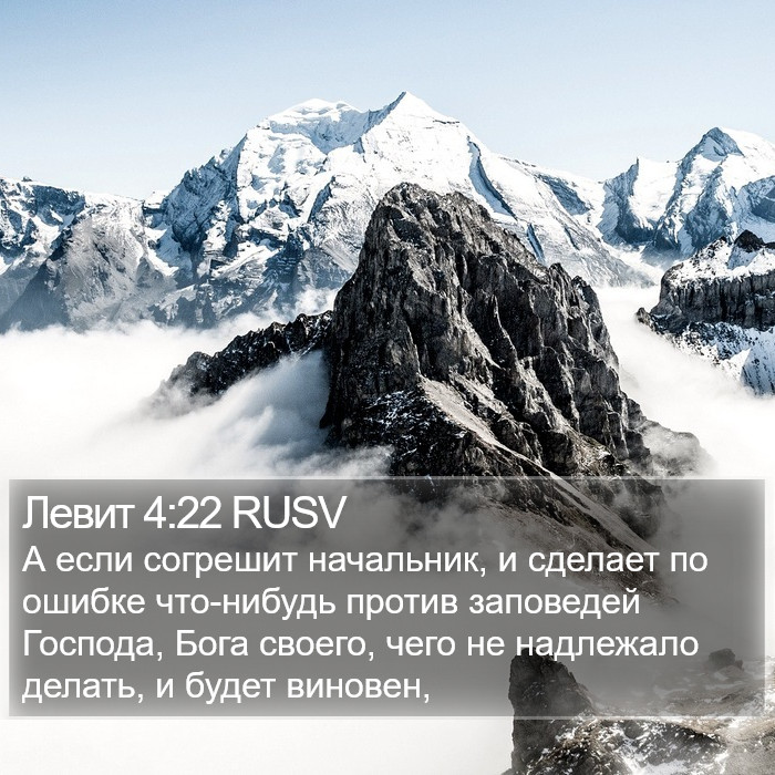 Левит 4:22 RUSV Bible Study