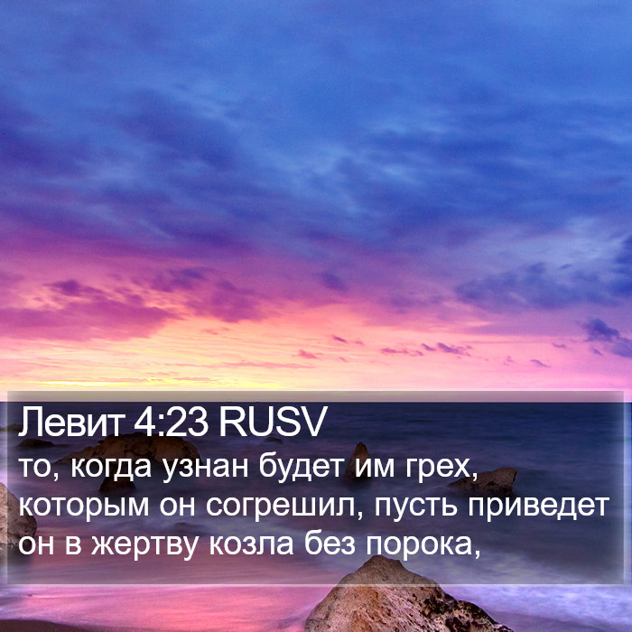 Левит 4:23 RUSV Bible Study