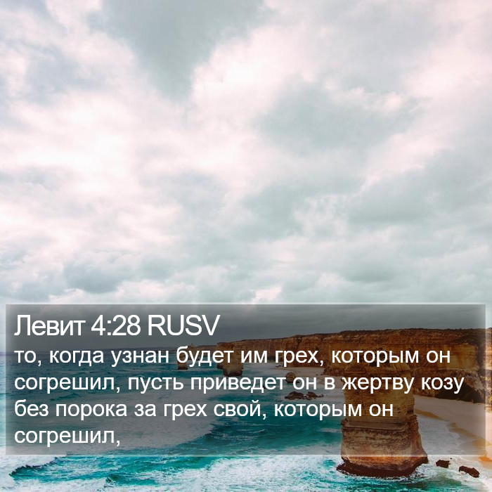 Левит 4:28 RUSV Bible Study
