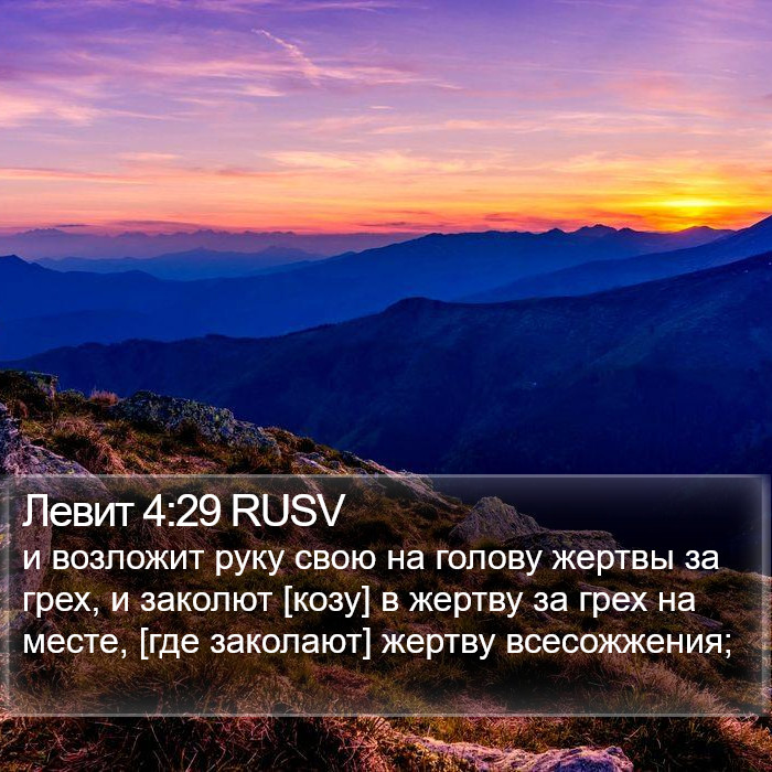 Левит 4:29 RUSV Bible Study
