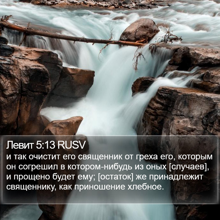 Левит 5:13 RUSV Bible Study
