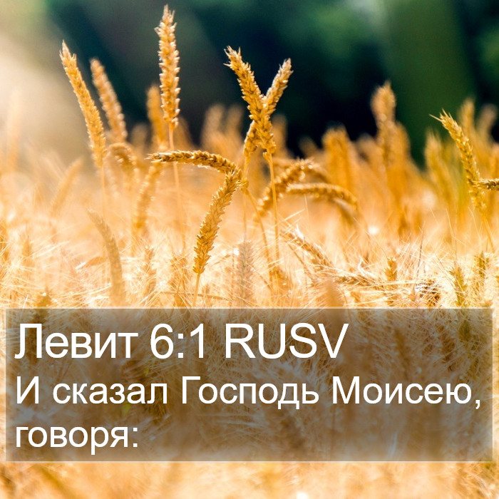 Левит 6:1 RUSV Bible Study