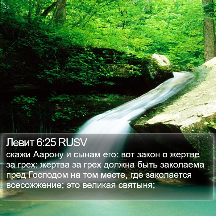 Левит 6:25 RUSV Bible Study