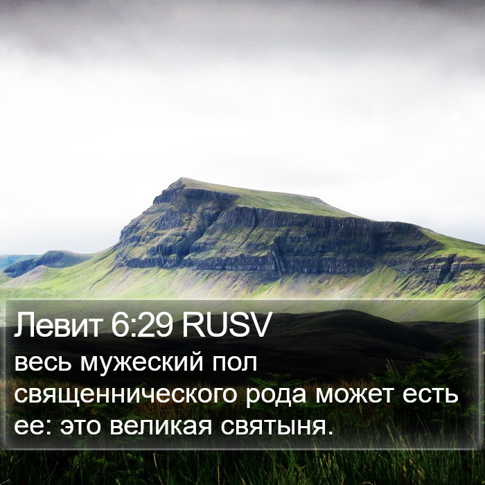 Левит 6:29 RUSV Bible Study