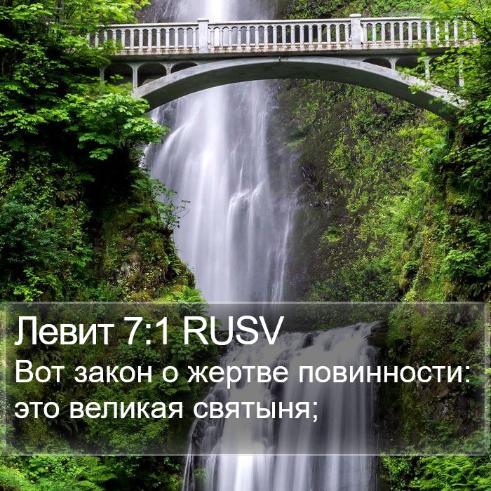 Левит 7:1 RUSV Bible Study