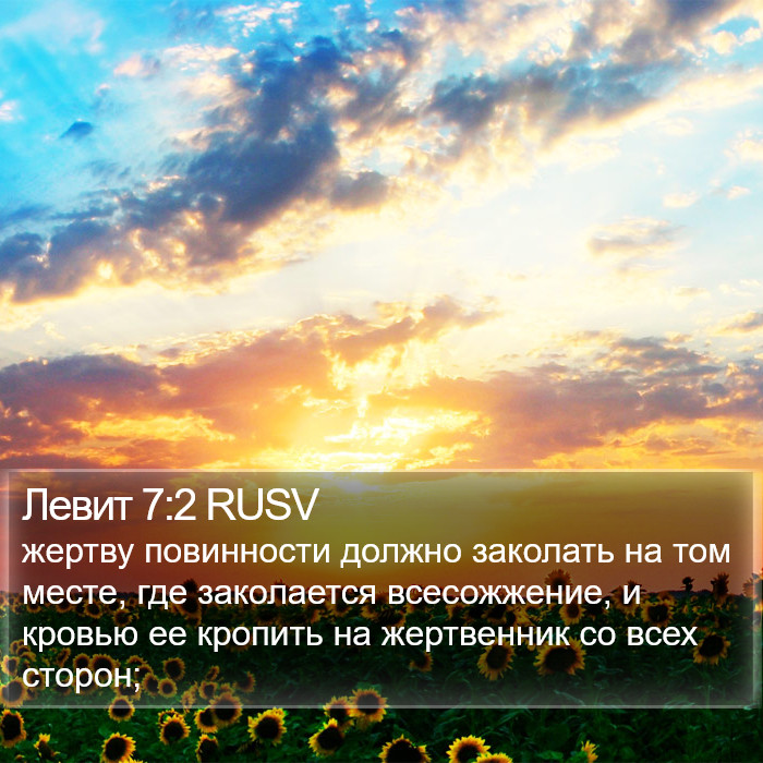 Левит 7:2 RUSV Bible Study