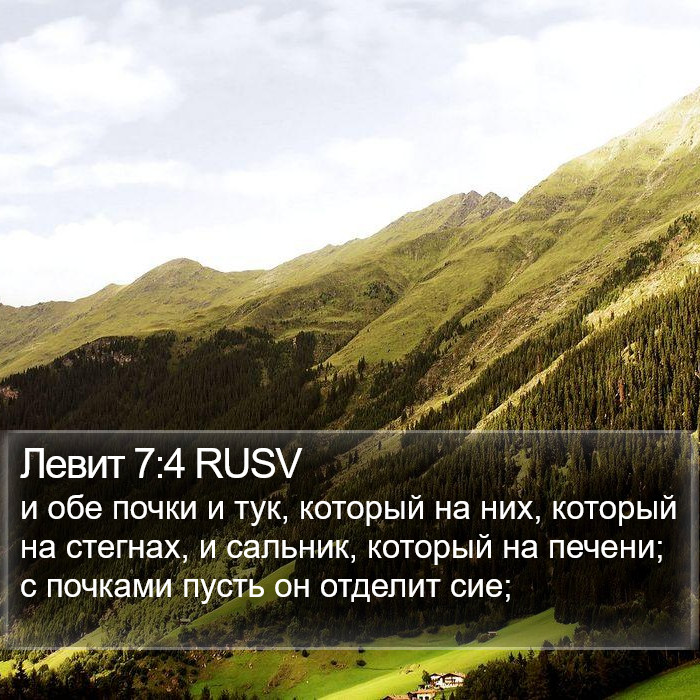 Левит 7:4 RUSV Bible Study