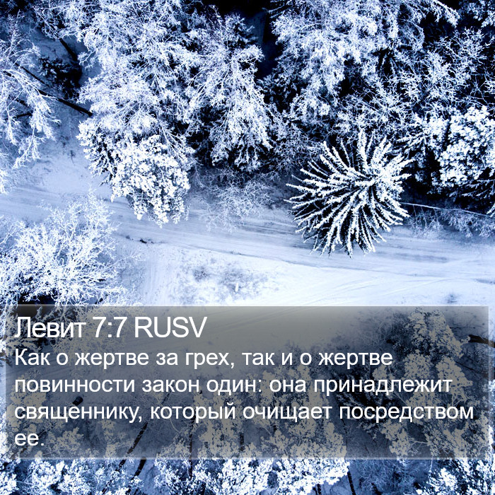 Левит 7:7 RUSV Bible Study