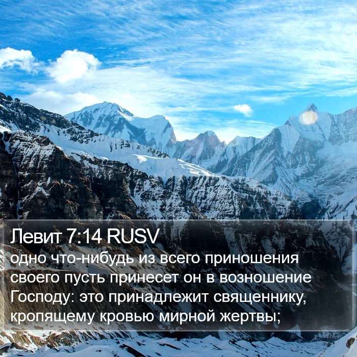 Левит 7:14 RUSV Bible Study