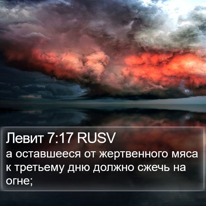 Левит 7:17 RUSV Bible Study