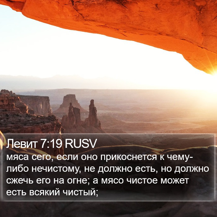 Левит 7:19 RUSV Bible Study