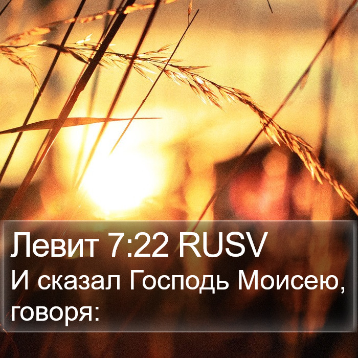 Левит 7:22 RUSV Bible Study