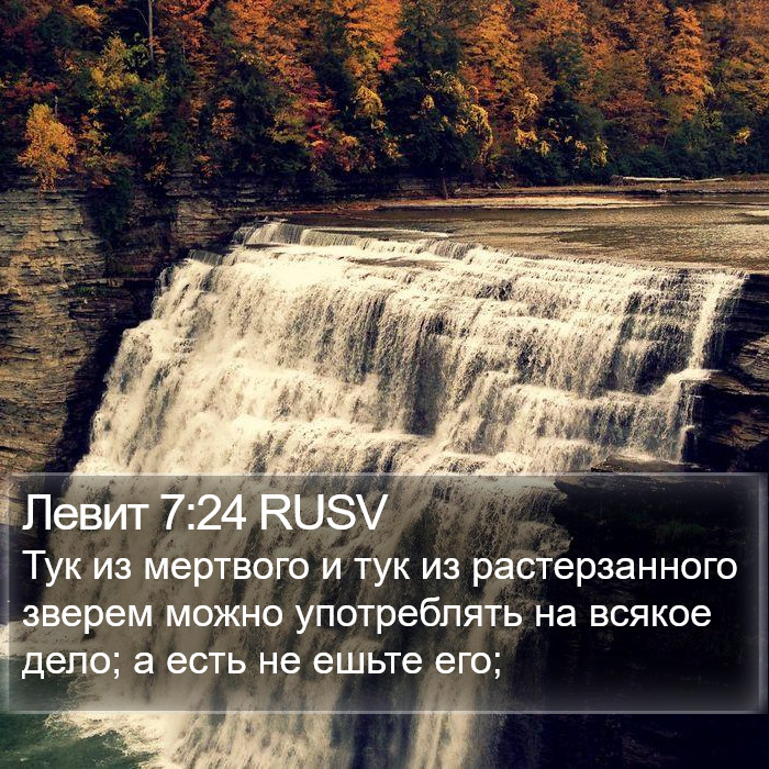 Левит 7:24 RUSV Bible Study