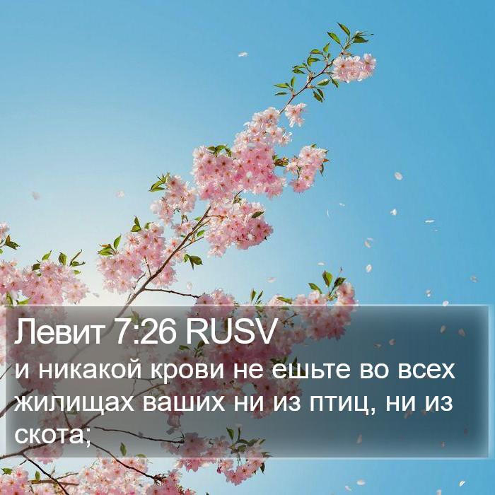 Левит 7:26 RUSV Bible Study