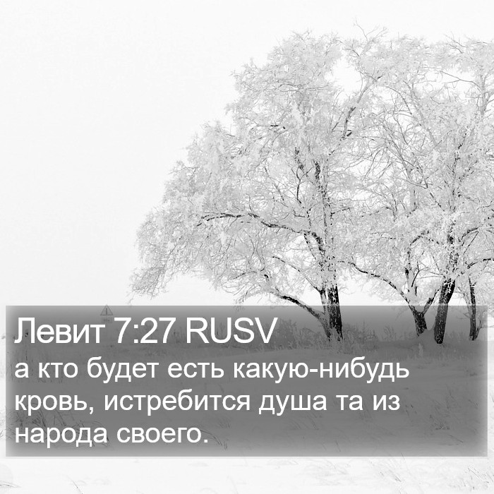 Левит 7:27 RUSV Bible Study