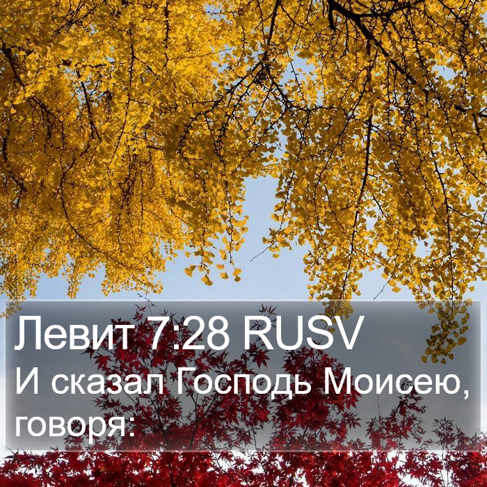 Левит 7:28 RUSV Bible Study