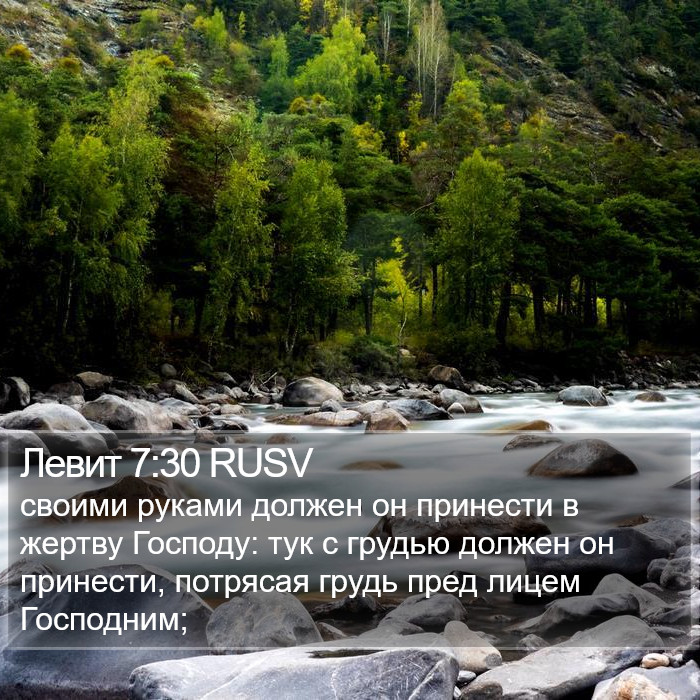 Левит 7:30 RUSV Bible Study