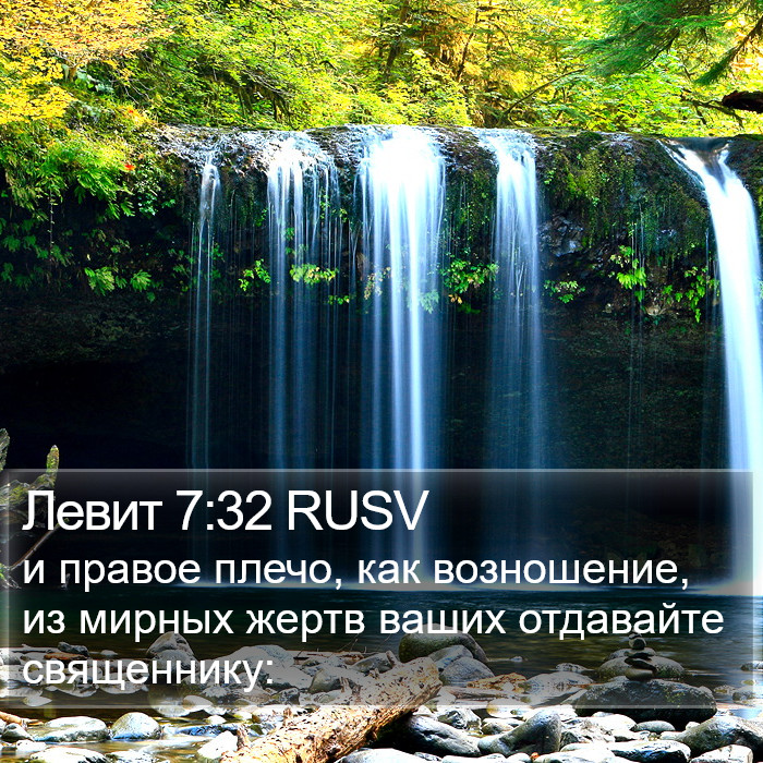 Левит 7:32 RUSV Bible Study