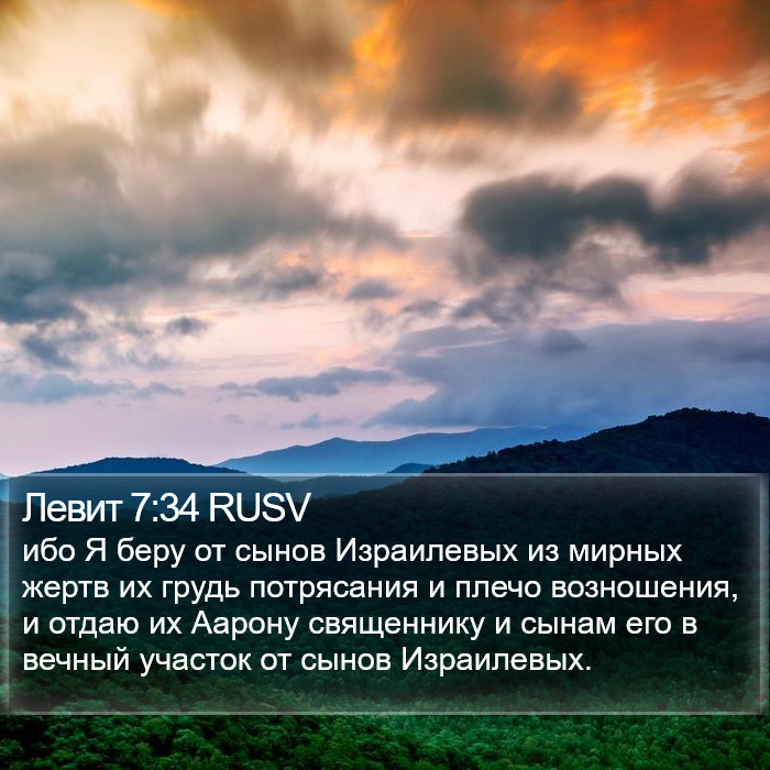 Левит 7:34 RUSV Bible Study