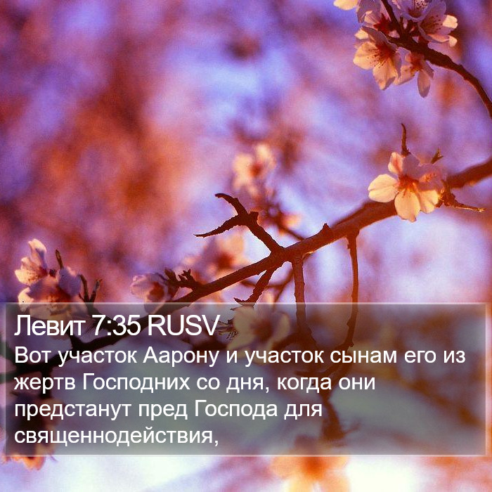 Левит 7:35 RUSV Bible Study