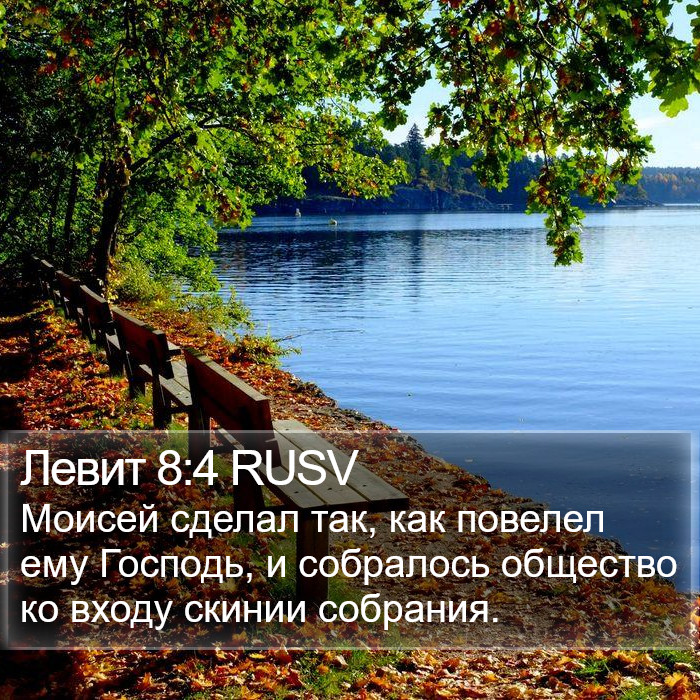 Левит 8:4 RUSV Bible Study