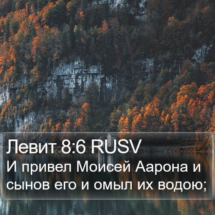 Левит 8:6 RUSV Bible Study