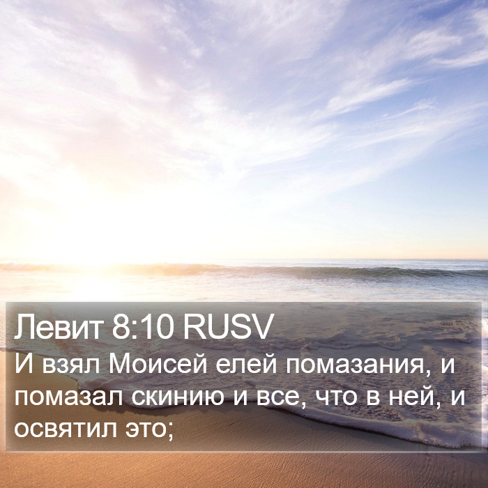Левит 8:10 RUSV Bible Study