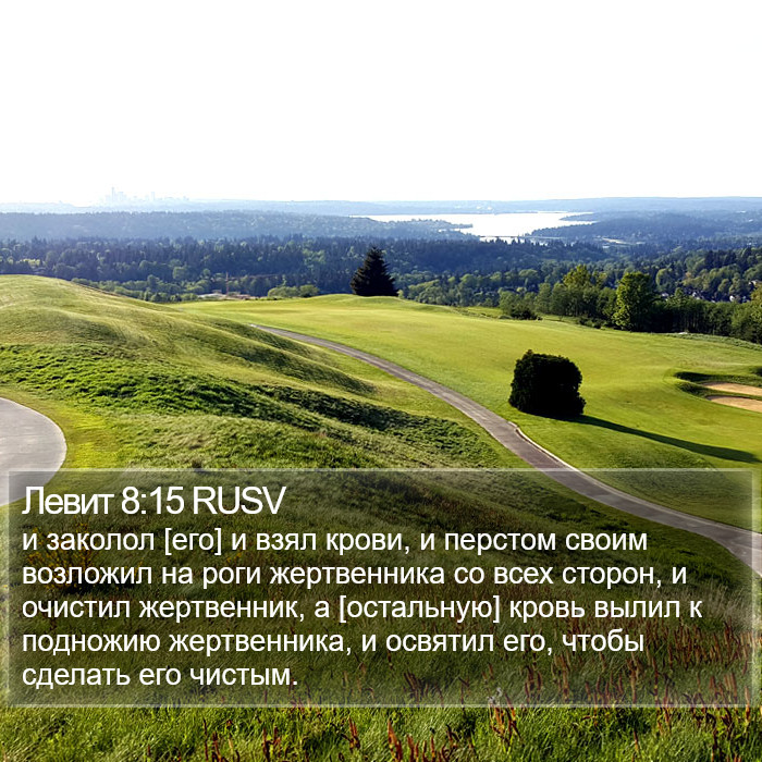 Левит 8:15 RUSV Bible Study