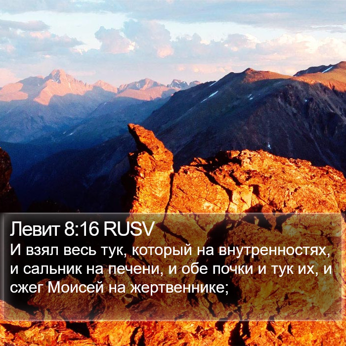 Левит 8:16 RUSV Bible Study