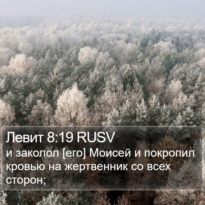 Левит 8:19 RUSV Bible Study