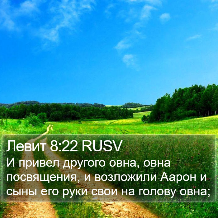 Левит 8:22 RUSV Bible Study