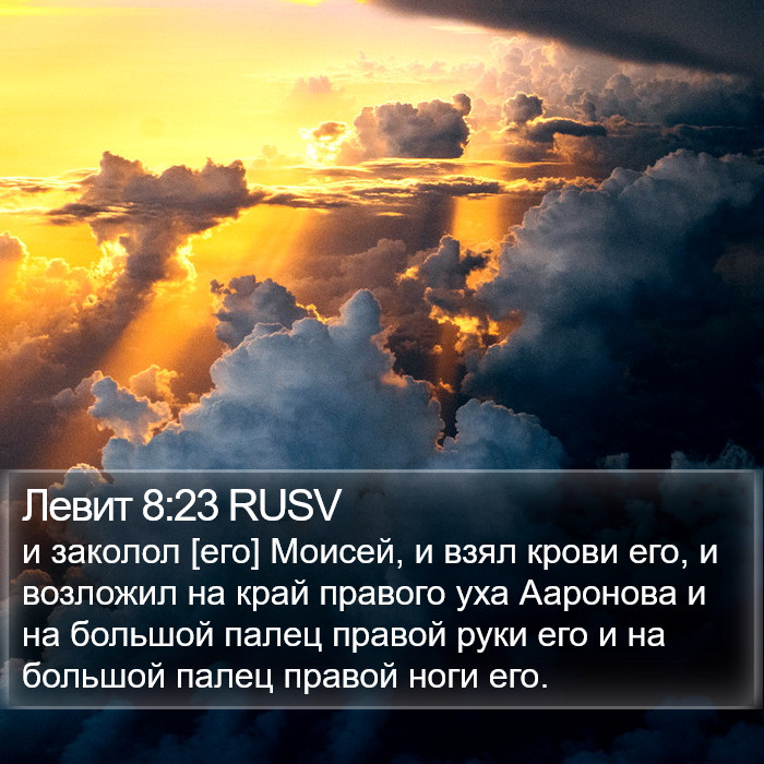 Левит 8:23 RUSV Bible Study