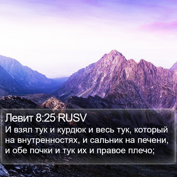 Левит 8:25 RUSV Bible Study