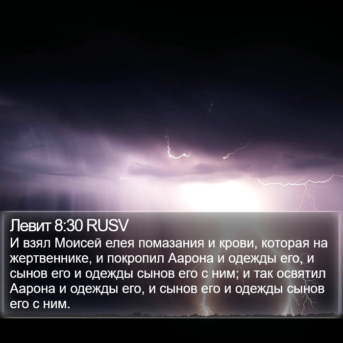 Левит 8:30 RUSV Bible Study