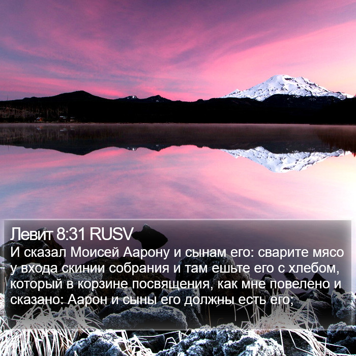 Левит 8:31 RUSV Bible Study