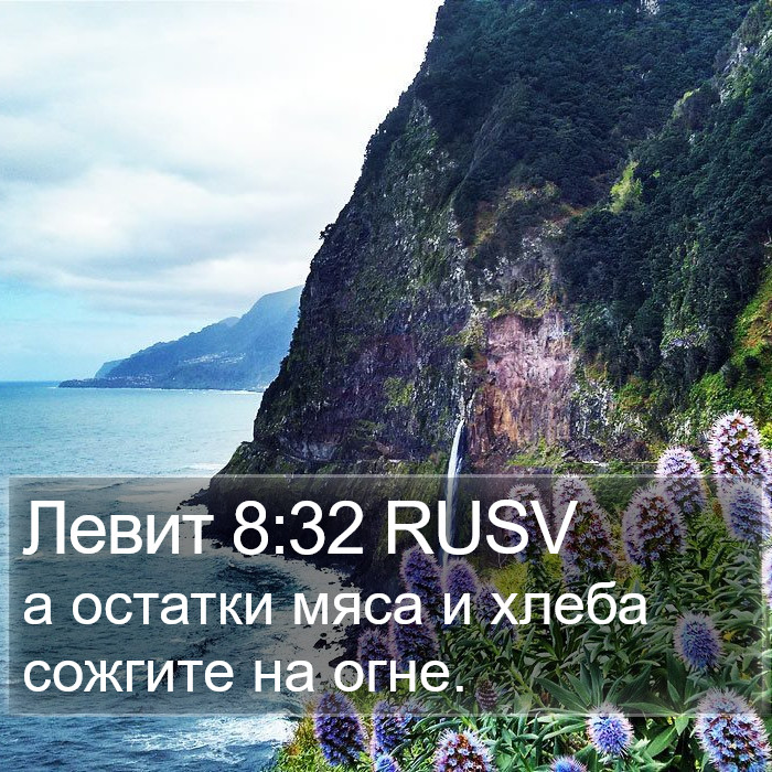 Левит 8:32 RUSV Bible Study