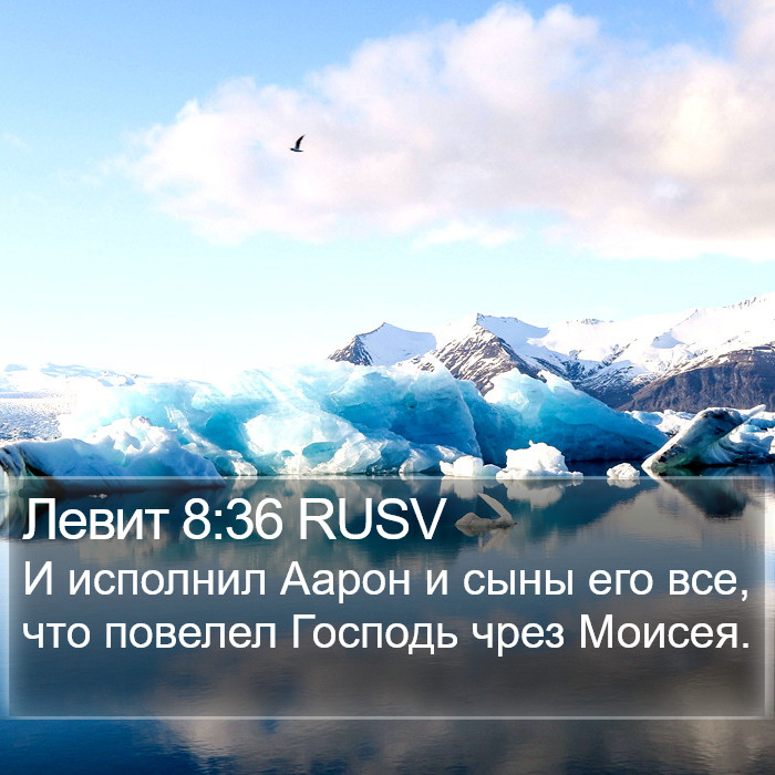 Левит 8:36 RUSV Bible Study