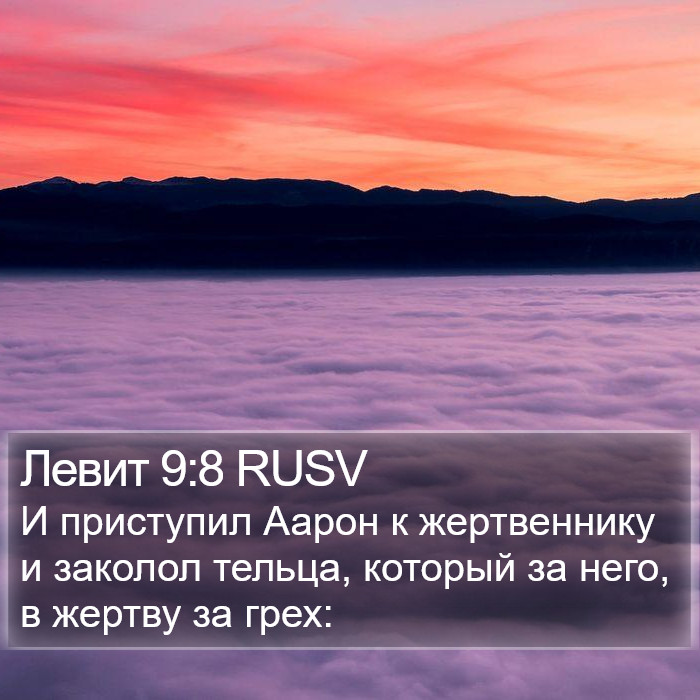 Левит 9:8 RUSV Bible Study