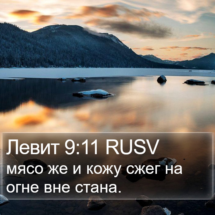 Левит 9:11 RUSV Bible Study