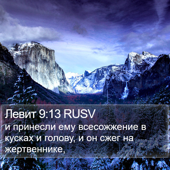 Левит 9:13 RUSV Bible Study