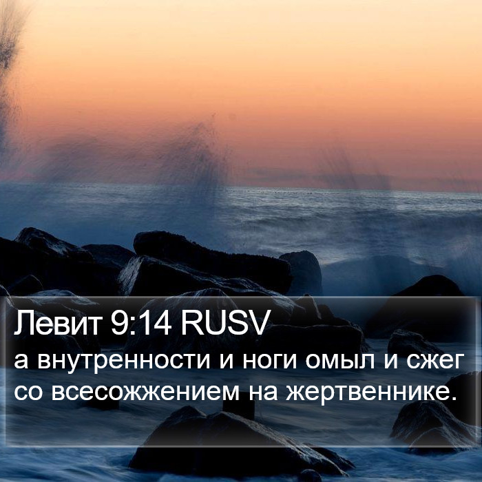 Левит 9:14 RUSV Bible Study