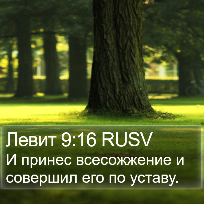 Левит 9:16 RUSV Bible Study