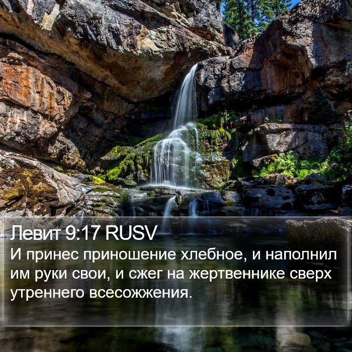 Левит 9:17 RUSV Bible Study